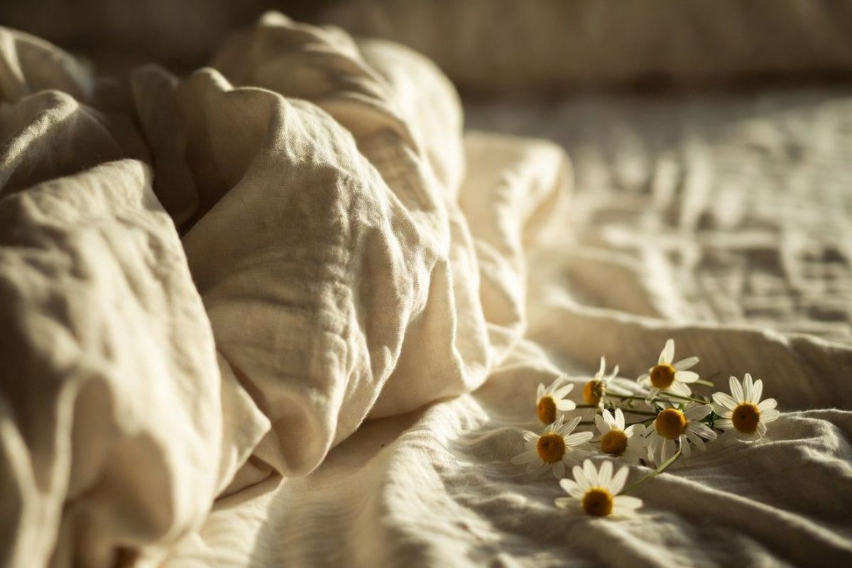 encyklopedie-hermanek-spanek-uzkost-studie